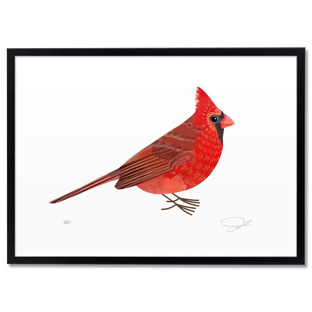 Print: Cardinal
