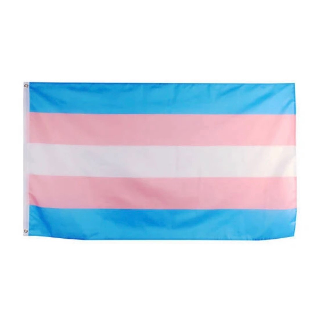 Image of Trans Pride Flag