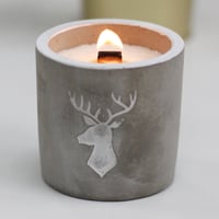 Image 2 of Concrete Wooden Wick Candle Valhalla