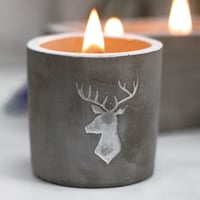 Image 1 of Concrete Wooden Wick Candle Valhalla
