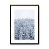 Snowy trees