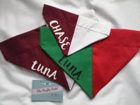 Image 1 of County Colours Dog Bandana