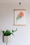 'Scarlet Ribbon' Giclée Print 