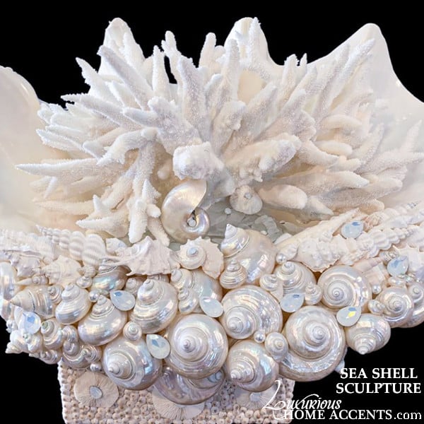 Image of Sea Shell Sculpture