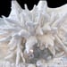 Image of Sea Shell Sculpture