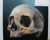 Skull still life