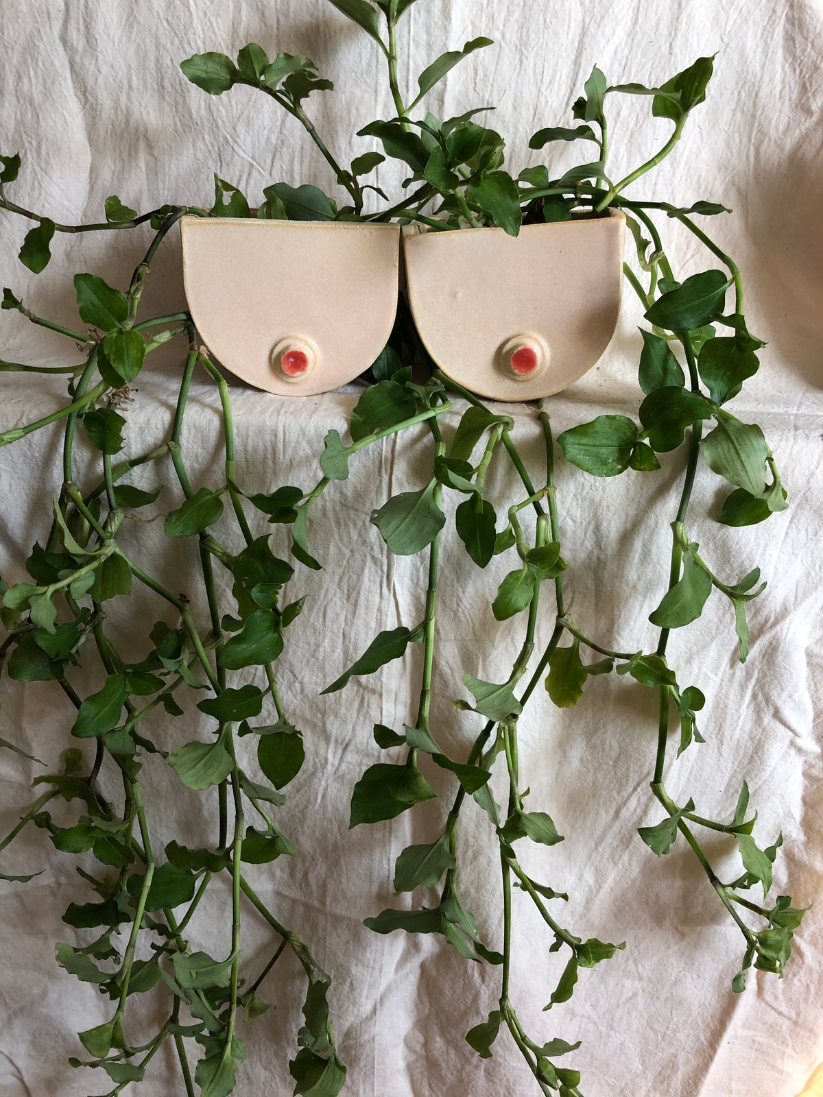 Image of Breast cup