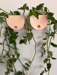 Image 3 of Breast cup