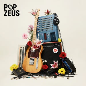 Image of Pop Zeus - This Doesn't Feel Like Home (Unreleased Demos 2011-2014)