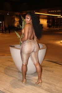 Image 4 of The Exotic Jumper 