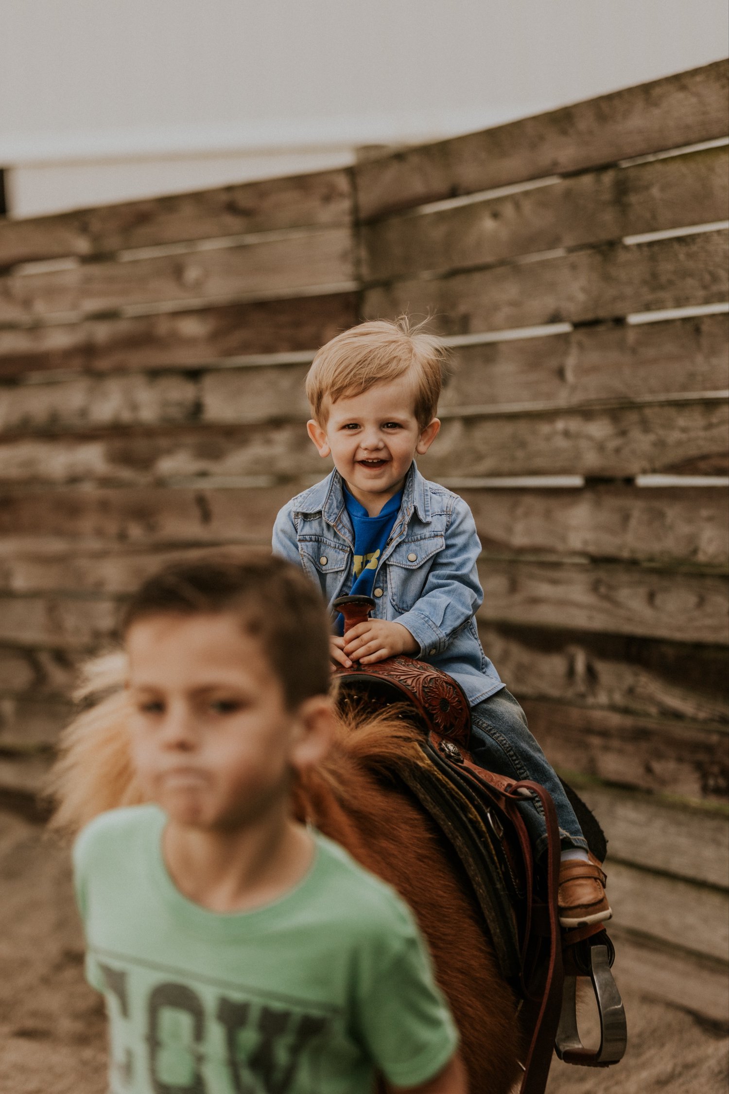 Image of Summer Horse Camp Tuition [must be paid by the day before camp]