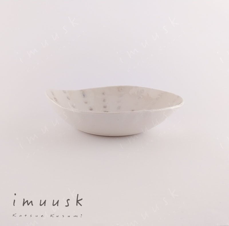 Image of Sea Urchin Shell Bowl 16 - 18cm