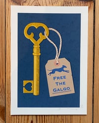 “Free the Galgo” charity print