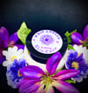 4oz. Whipped Shea Butter 