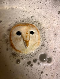 Image 2 of Owl Bath Bomb