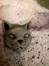 Kitty Bath Bombs 