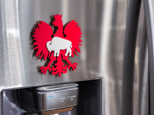Image of Buffalo Polish Magnet