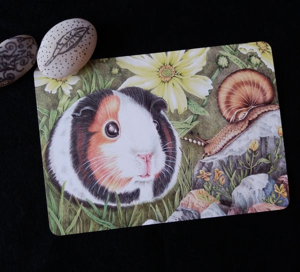 Image of Curious Guinea Pig - Postcard