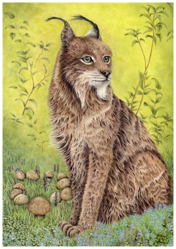 Image of Fairy Ring - A4 Print