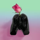 Image 4 of Floral Penetration Wall-Mounted Stem Vase