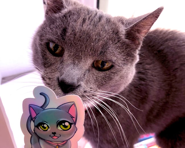 Orion Holographic Cat Sticker 2 x 3