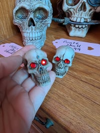 Image 3 of 🌙💀Decorative Skull Collection 💀🌙
