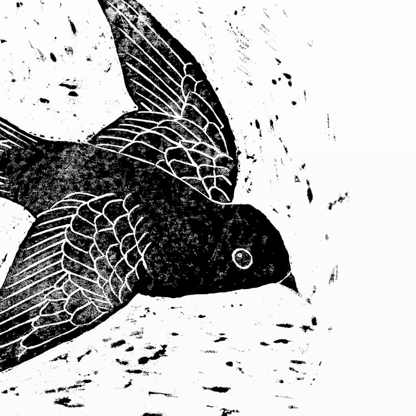 Print: Swallow (Schwalbe)