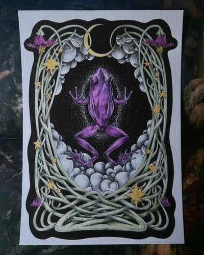 Image of The Frog Realm