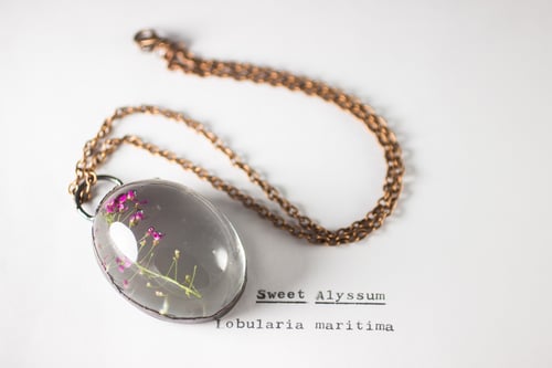 Image of Sweet Alyssum (Lobularia maritima) - Copper Plated Necklace #2