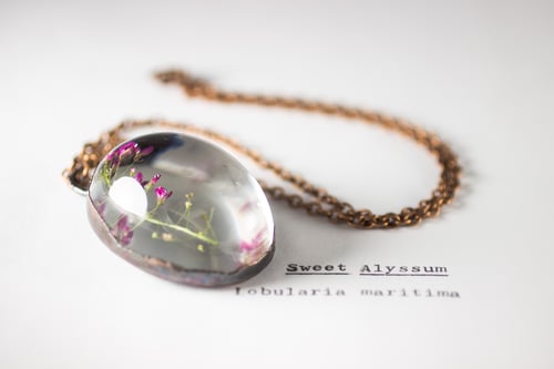 Image of Sweet Alyssum (Lobularia maritima) - Copper Plated Necklace #2