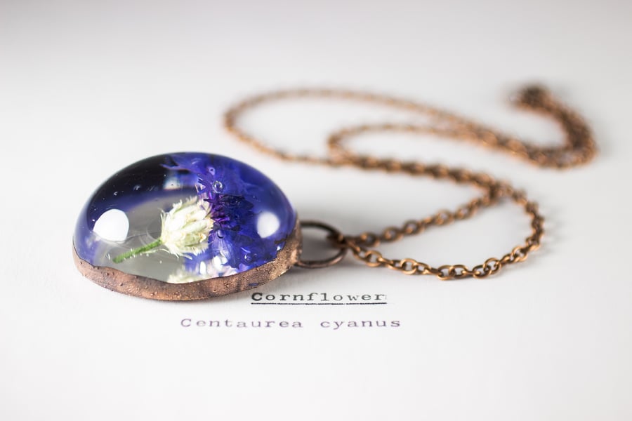 Image of Cornflower (Centaurea cyanus) - Copper Plated Necklace #1