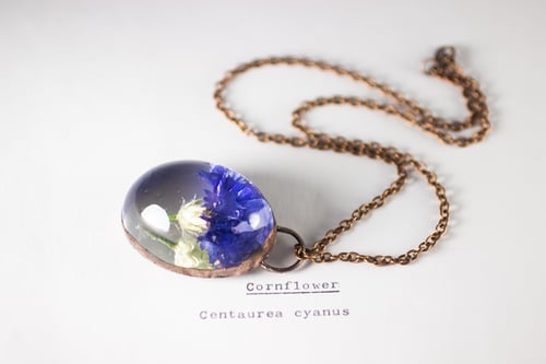 Image of Cornflower (Centaurea cyanus) - Copper Plated Necklace #1
