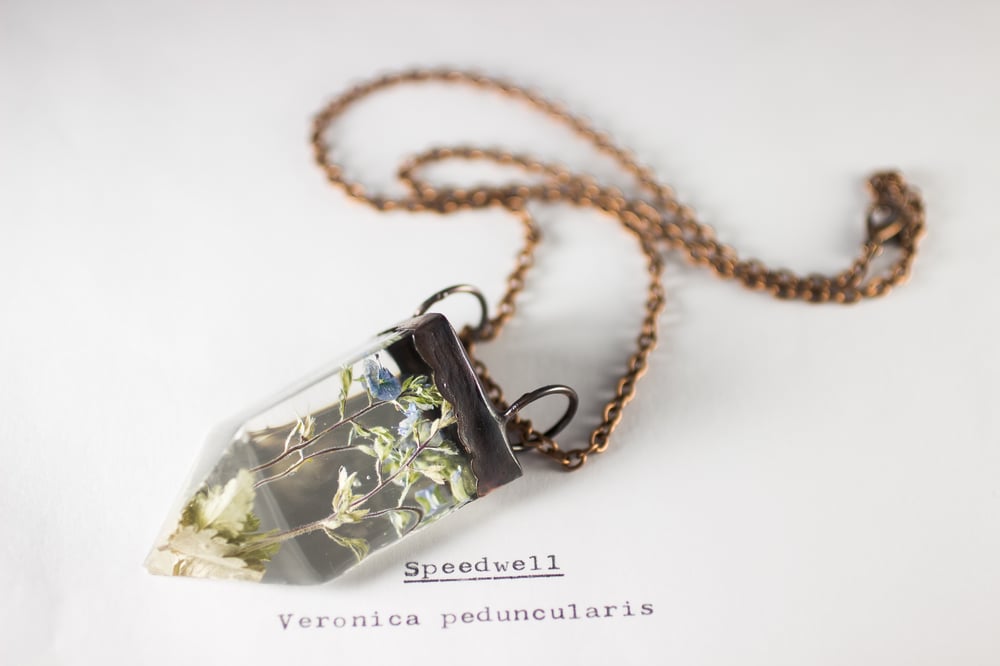 Image of Speedwell (Veronica peduncularis) - Small Copper Prism Necklace
