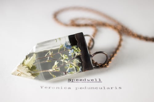 Image of Speedwell (Veronica peduncularis) - Small Copper Prism Necklace