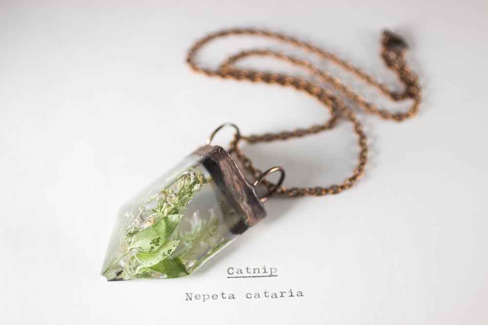 Image of Catnip (Nepeta cataria) - Small Copper Prism Necklace #1