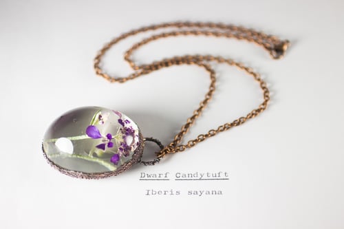 Image of Dwarf Candytuft (Iberis sayana) - Copper Plated Necklace #1