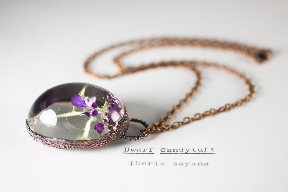 Image of Dwarf Candytuft (Iberis sayana) - Copper Plated Necklace #1