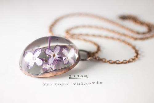 Image of Lilac (Syringa vulgaris) - Copper Plated Necklace #2