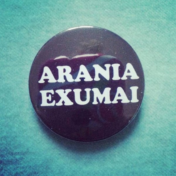 Image of badge harry potter - arania exumai