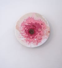 Image 1 of Target Evidence I