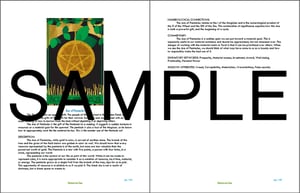 Image of Ellis decK companion eBook