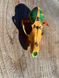 Image 6 of Beltane Guardian fox skull 