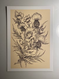 Thistles and Poppies PRINT