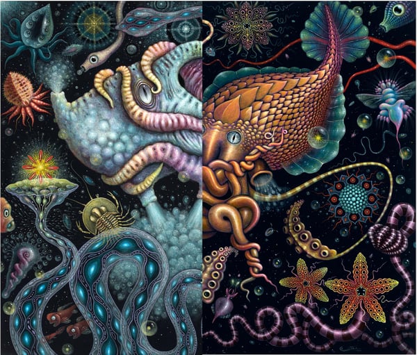 Image of CEPHALOPOD SERIES COLLECTION • #1 & #2  SOLD TOGETHER