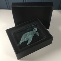 Image 5 of Turtle Glass Block