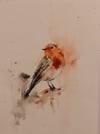 Original Watercolour Robin Painting 