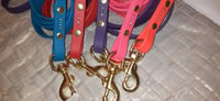 Image 1 of Webbing 6 FT Leashes (Colors) 5/8 inch (with handle) -- 6 Ft. -- 10 Ft. -- 5 Ft.