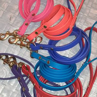 Image 2 of Webbing 6 FT Leashes (Colors) 5/8 inch (with handle) -- 6 Ft. -- 10 Ft. -- 5 Ft.