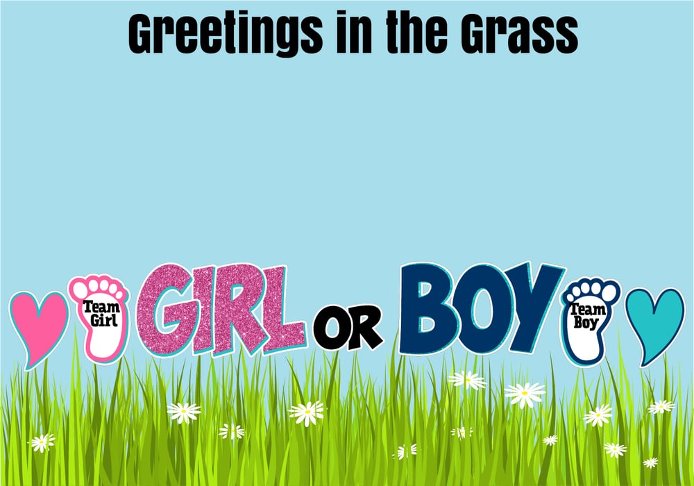 Gender Reveal Yard Card with Stakes