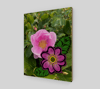 Nootka Rose 11x14 Wood Print 